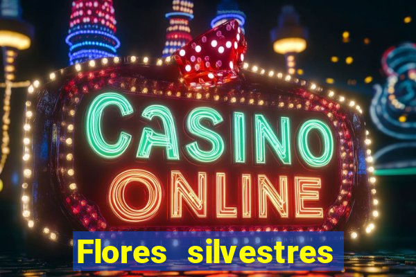 Flores silvestres brasileiras 25